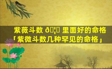 紫薇斗数 🦋 里面好的命格「紫微斗数几种罕见的命格」